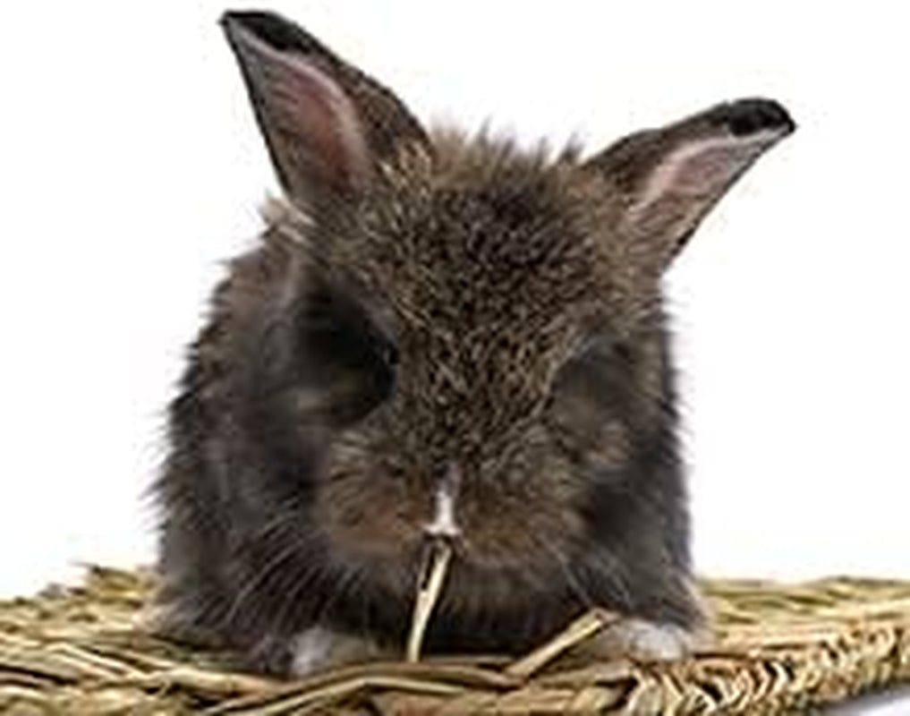 Rabbit Bed Grass Mat Woven Bunny Mat Is Edible,Which Can Be Used Chew and Game-Playing Activity Straw Bedding Can Helps to Her Teeth Protect Pet’S Feet Bunny Bedding Sturdy Safe Grass Mat.