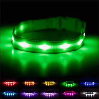 Brightest Light up Dog Collars - the Original LED Dog Collar with 1,000 Feet of Visibility - USB Rechargeable Waterproof Dog Collar Light - Dog Lights for Night Walking - USA Brand