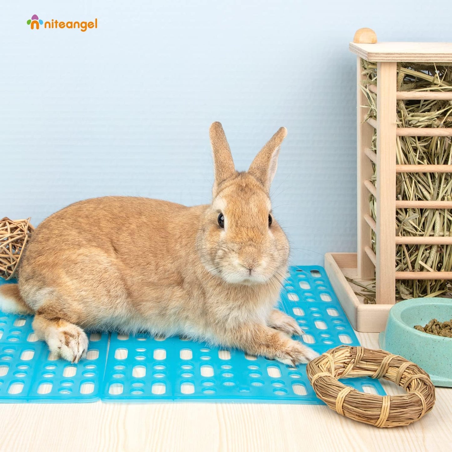 2 Pieces Rabbit Playpen Feet Mats for Cage, Comes with 4 Fixed Tabs (Blue)