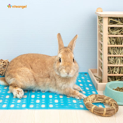 2 Pieces Rabbit Playpen Feet Mats for Cage, Comes with 4 Fixed Tabs (Blue)