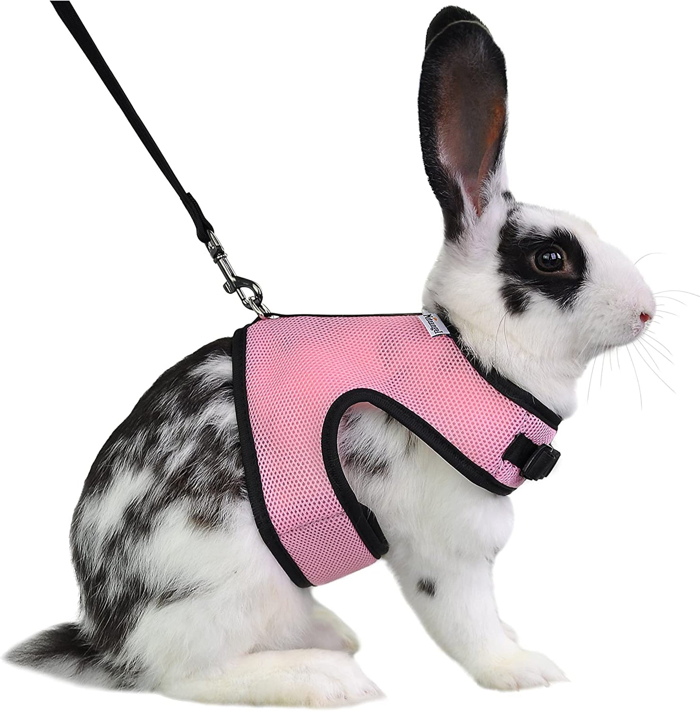 Adjustable Soft Harness with Elastic Leash for Rabbits (XL, Pink)