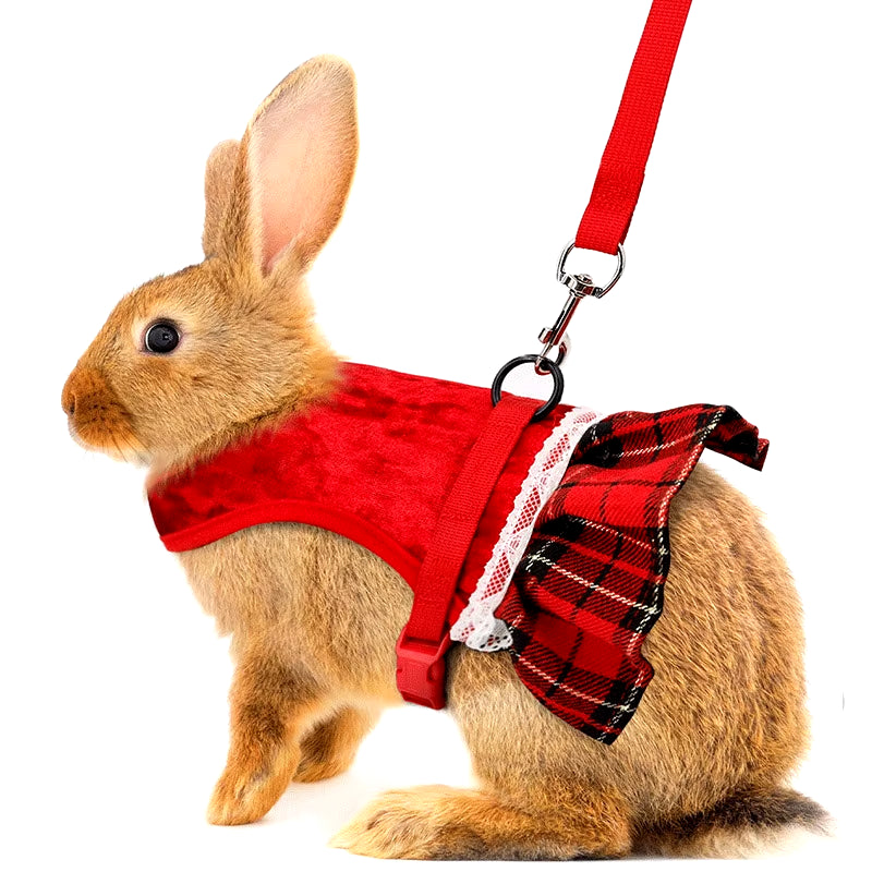 Cute Rabbit Chest Harness with Leash Christmas Pet Vest Rabbit Rope with Skirt Cat Dutch Pig Chest