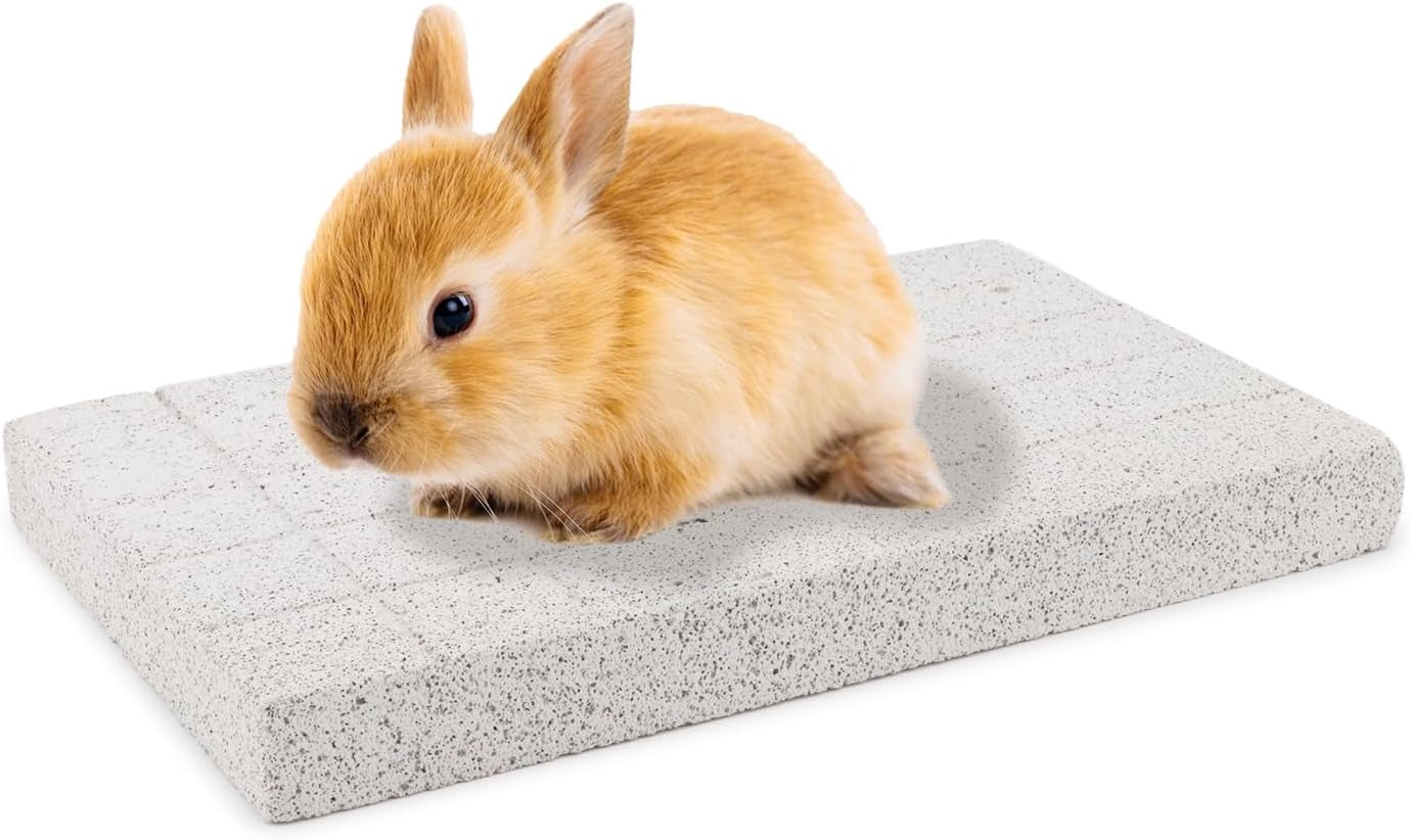 Rabbit Scratching Pad Bunny Feet Pad Lava Grinding Chew Toy for Rabbit Chinchilla Guinea Pig Ferrets (B)