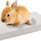 Rabbit Scratching Pad Bunny Feet Pad Lava Grinding Chew Toy for Rabbit Chinchilla Guinea Pig Ferrets (B)