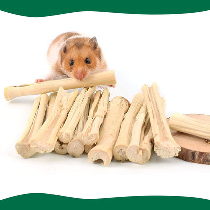 100G Pet Snacks Sweet Bamboo Chew Toy for Squirrel Rabbits Guinea Pigs Chinchilla Hamster (About 10-14 Sticks)