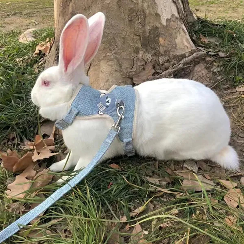 Newest Cute Rabbit Harness and Leash Set Bunny Pet Accessories Vest Harnesses Rabbit Leashes for Outdoor Walking Pets Supplies