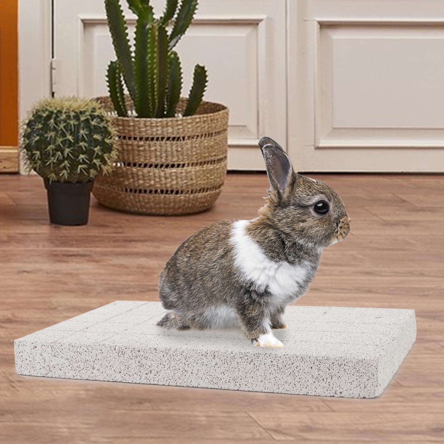 Rabbit Scratching Pad Bunny Feet Pad Lava Grinding Chew Toy for Rabbit Chinchilla Guinea Pig Ferrets (B)