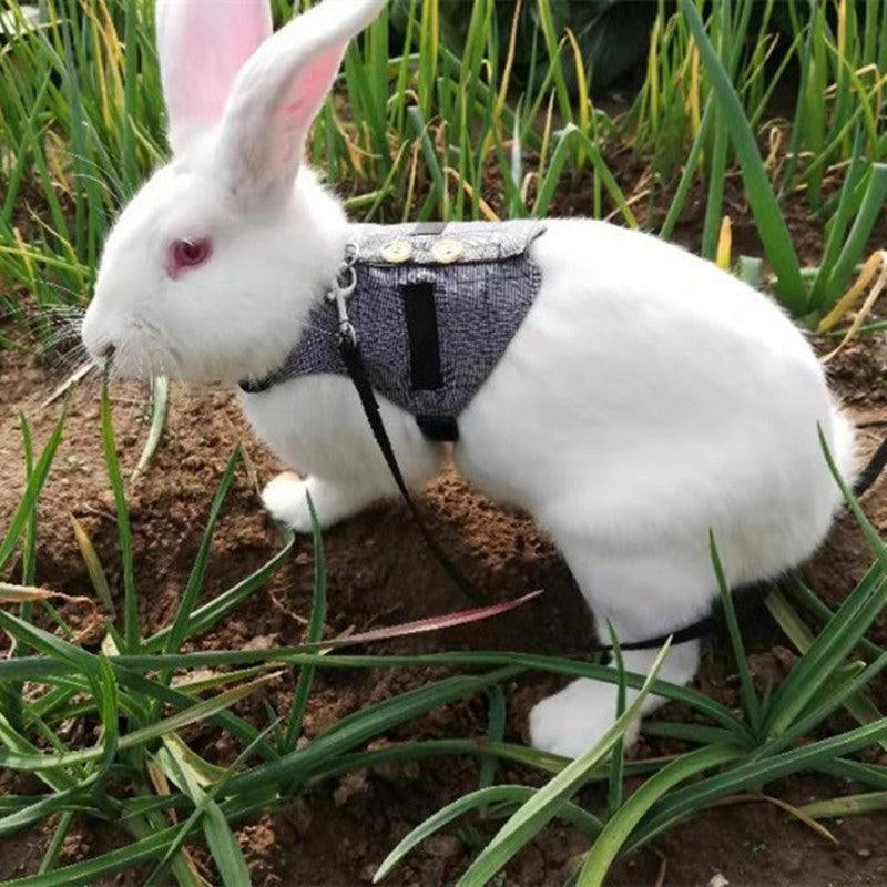 Rabbit Leash Rabbit Dress: Whimsical Bunny Chest Strap Dress