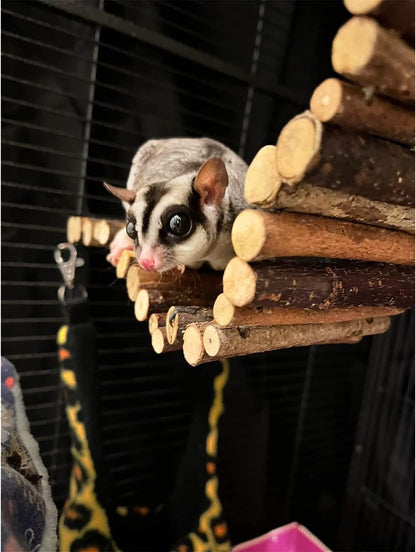 Flex Bridge (Large) - Bendable Natural Wooden Suspension Bridge Cage Accessory Climbing Toy - Sugar Gliders, Rats, Chinchillas, Ferrets, Parrots, Birds, Hamsters, Hedgehogs, Guinea Pigs, Monkeys