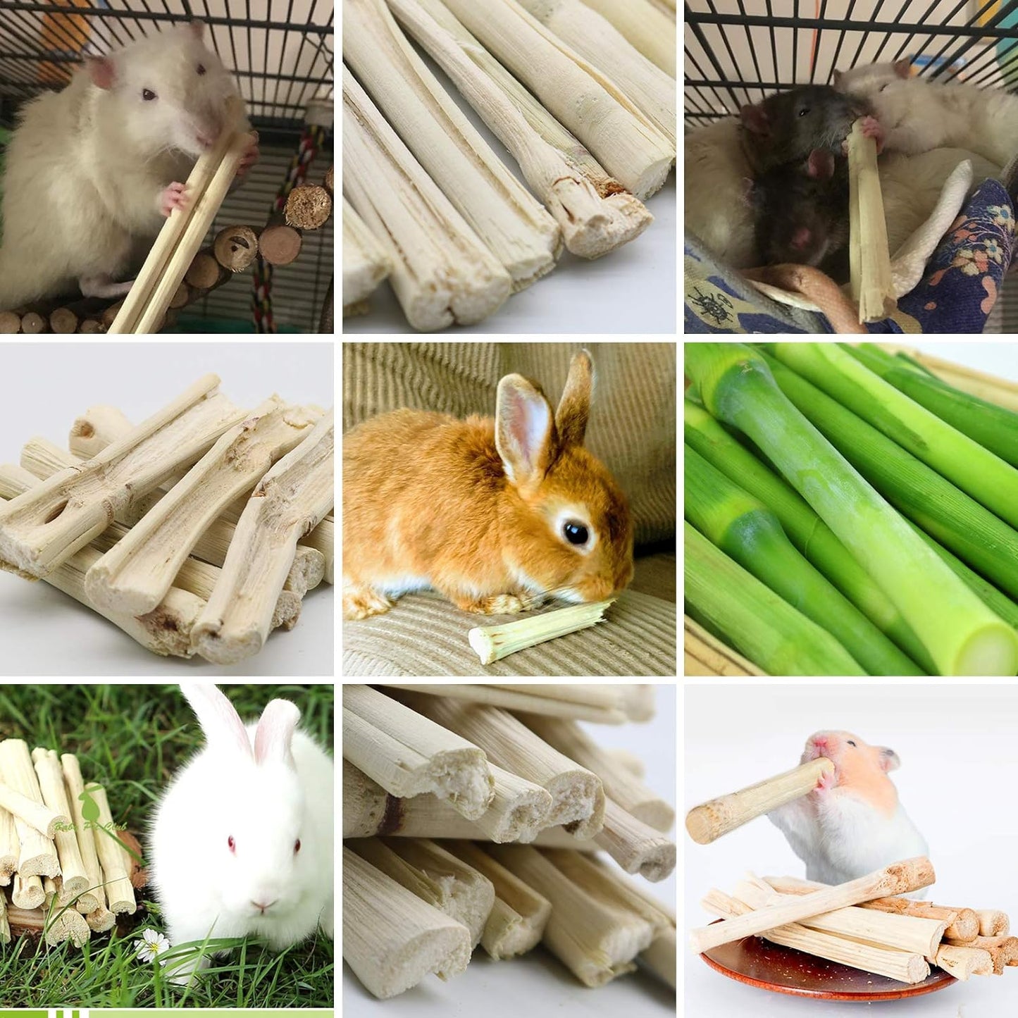 100G Pet Snacks Sweet Bamboo Chew Toy for Squirrel Rabbits Guinea Pigs Chinchilla Hamster (About 10-14 Sticks)