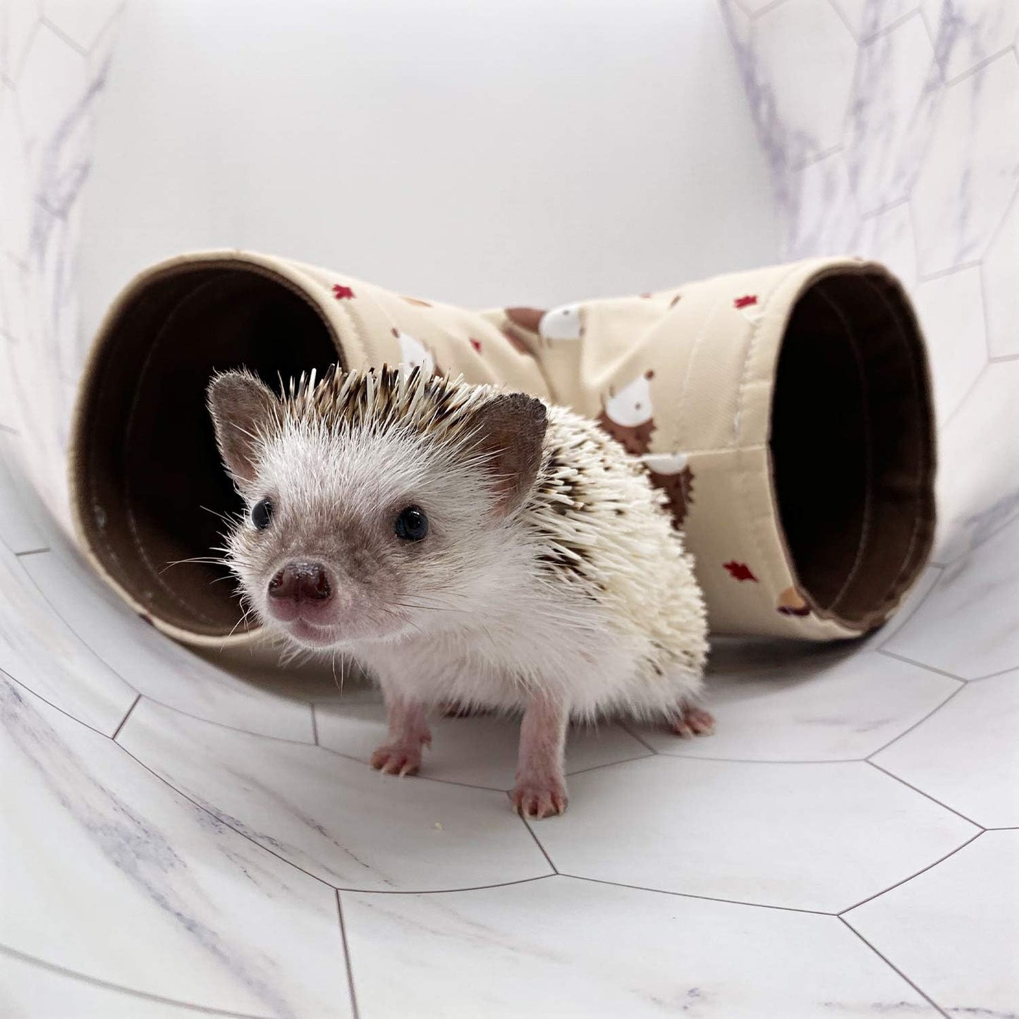 Handmade Small Animal 3-Way Hideout Tunnel Collapsible Pet Play Toy Tunnel Tube for Dwarf Rabbit Hamster Guinea Pig Chinchilla Sugar Glider Hedgehog (Beige)